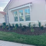Home l1 (11)