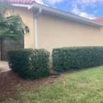 Home l1 (18)
